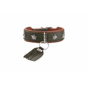 Hunter Dog Collar Munich Green