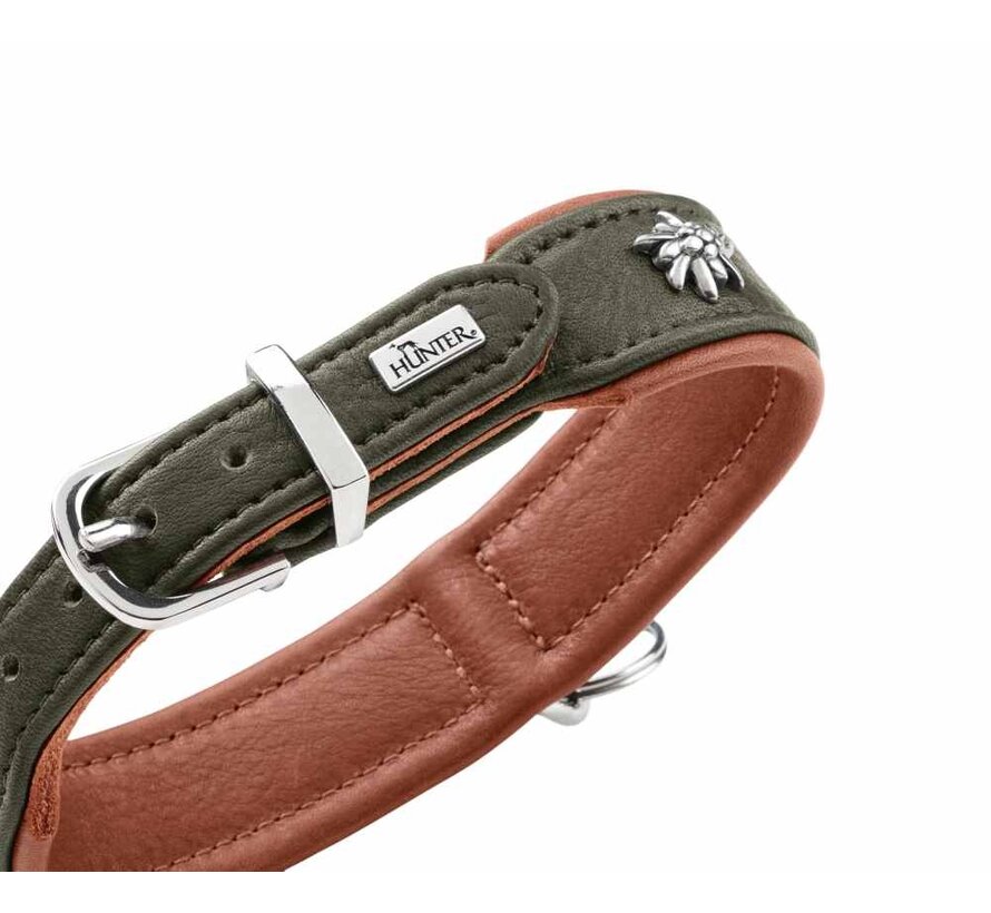 Dog Collar Munich Green