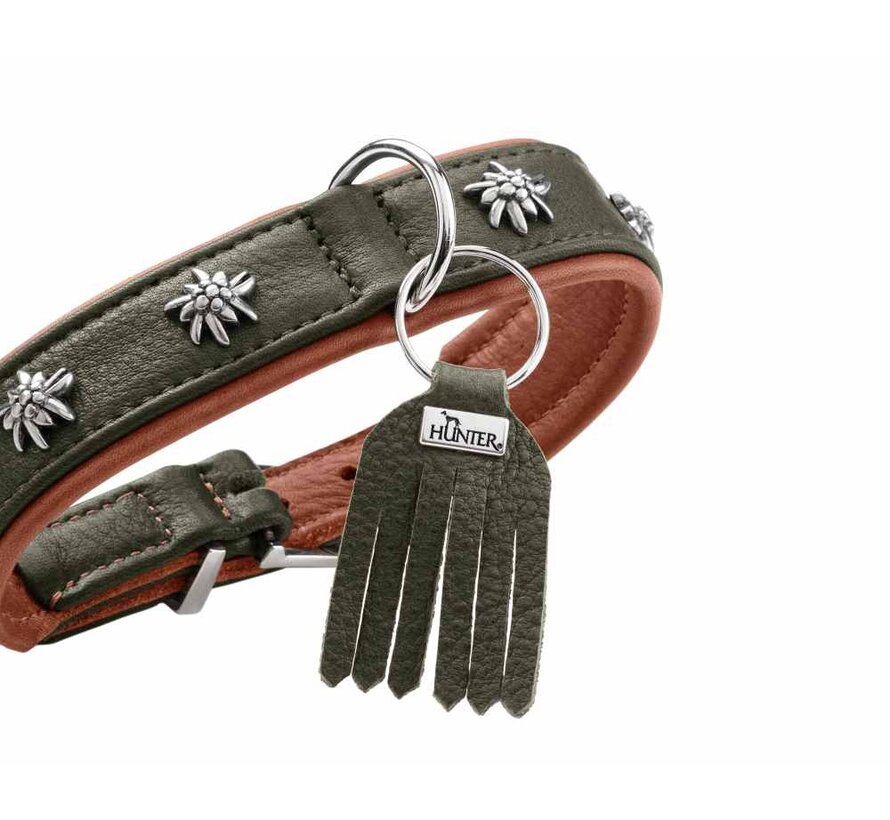 Dog Collar Munich Green