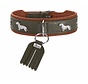 Dachshund Collar Munich Green