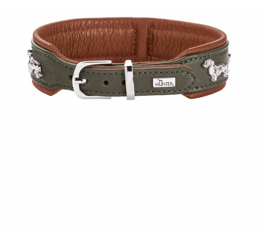 Dachshund Collar Munich Green