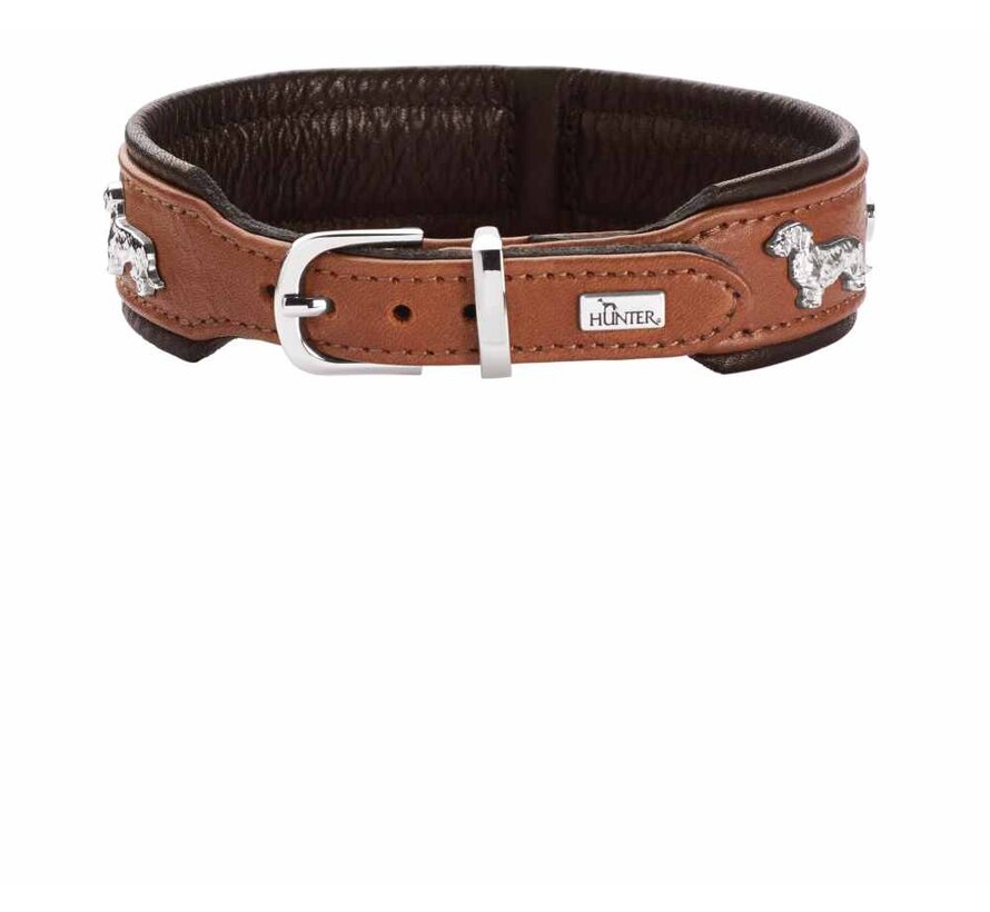 Dachshund Collar Munich Cognac