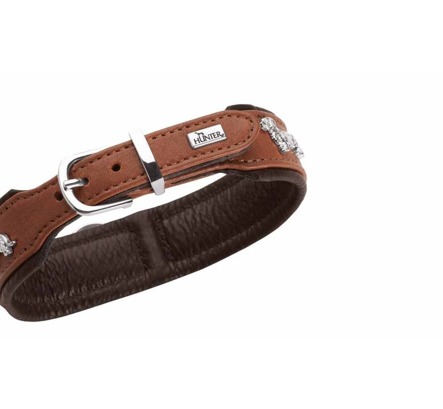 Dachshund Collar Munich Cognac