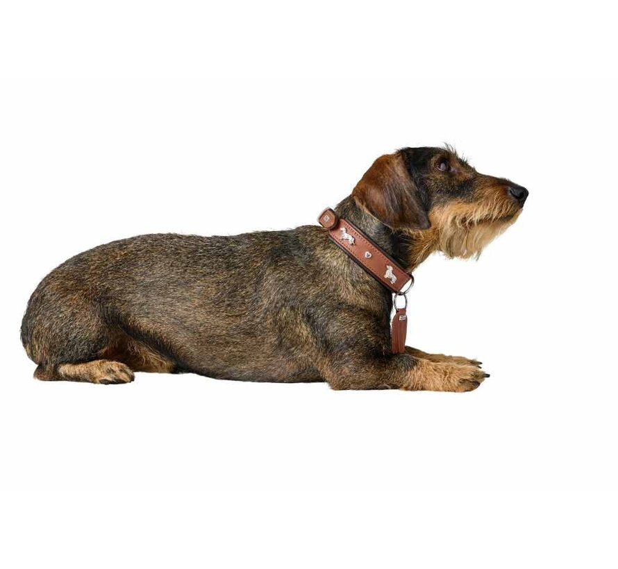 Dachshund Collar Munich Cognac