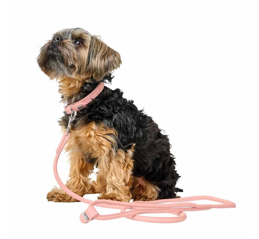 Dog Leash Soho Round Mini Pink