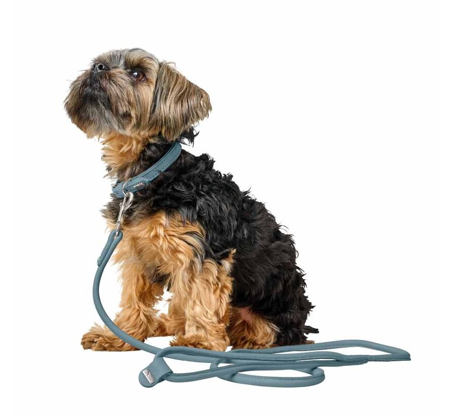 Dog Leash Soho Round Mini Blue