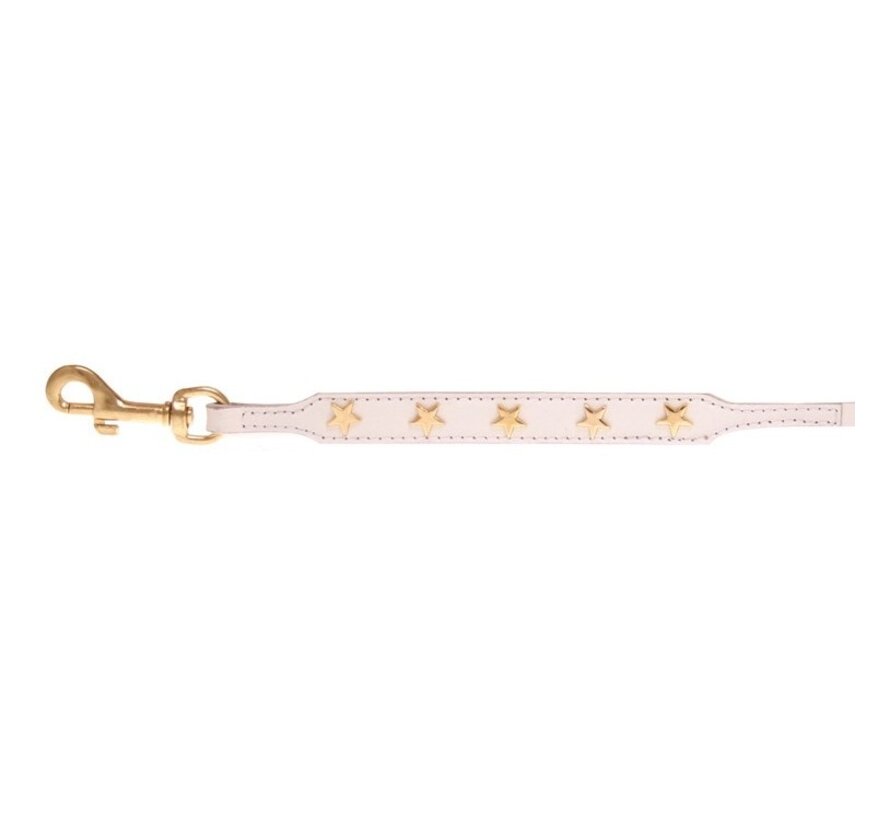 Dog Leash Twinkle Little Star White/Gold