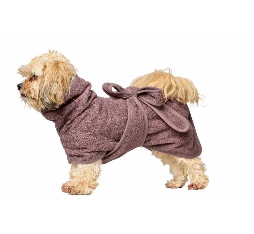 Dog deals in bathrobe