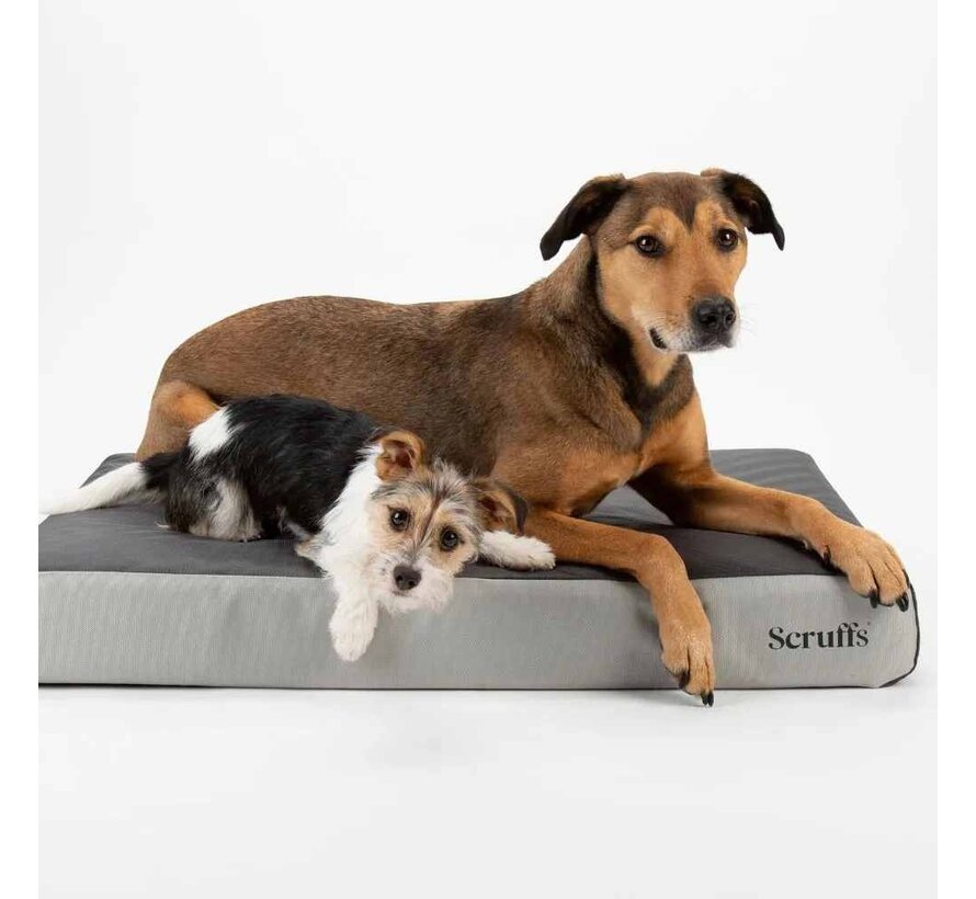 Orthopedic Dog Cushion Armourdillo