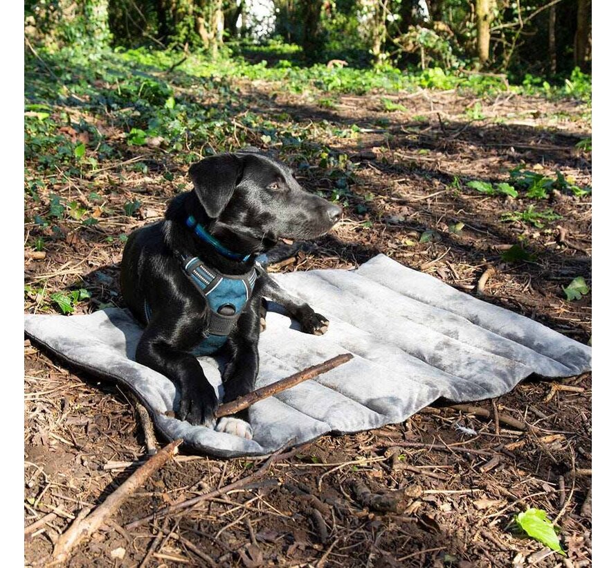 Foldable Dog Blanket Khaki Green