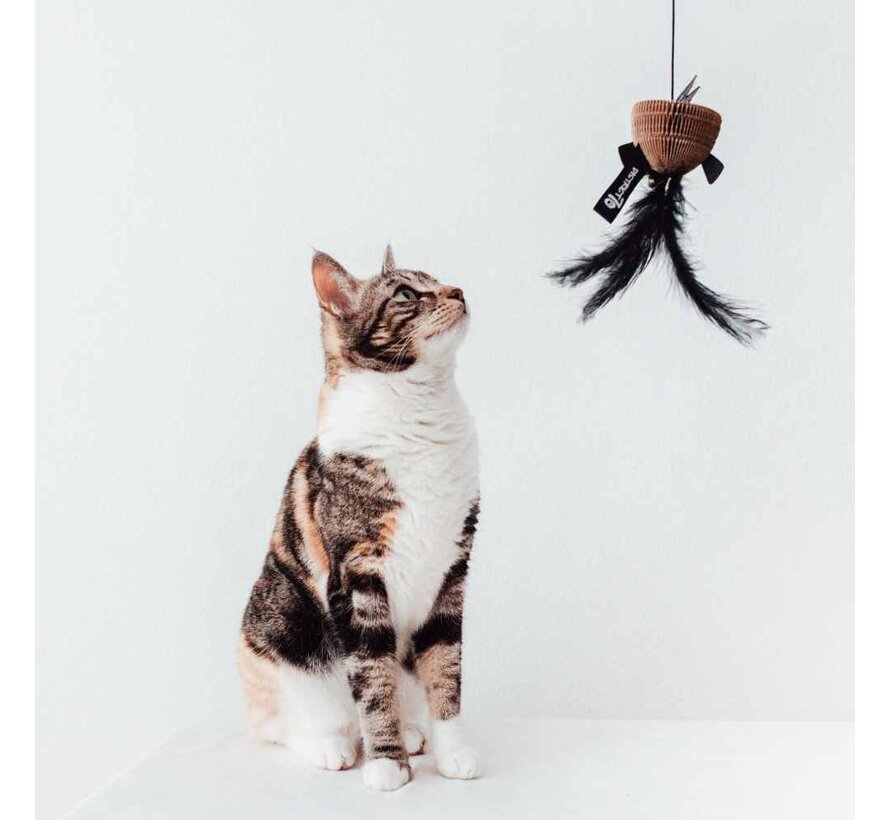 Cat Toy Bait Black