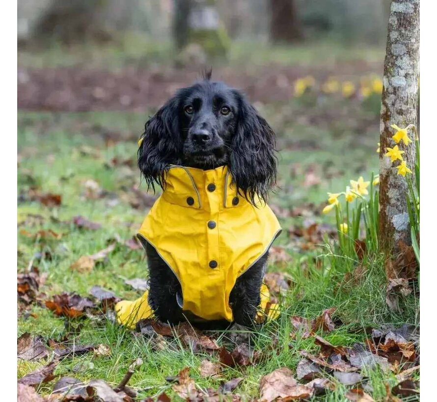 Raincoat Dog Stream Yellow