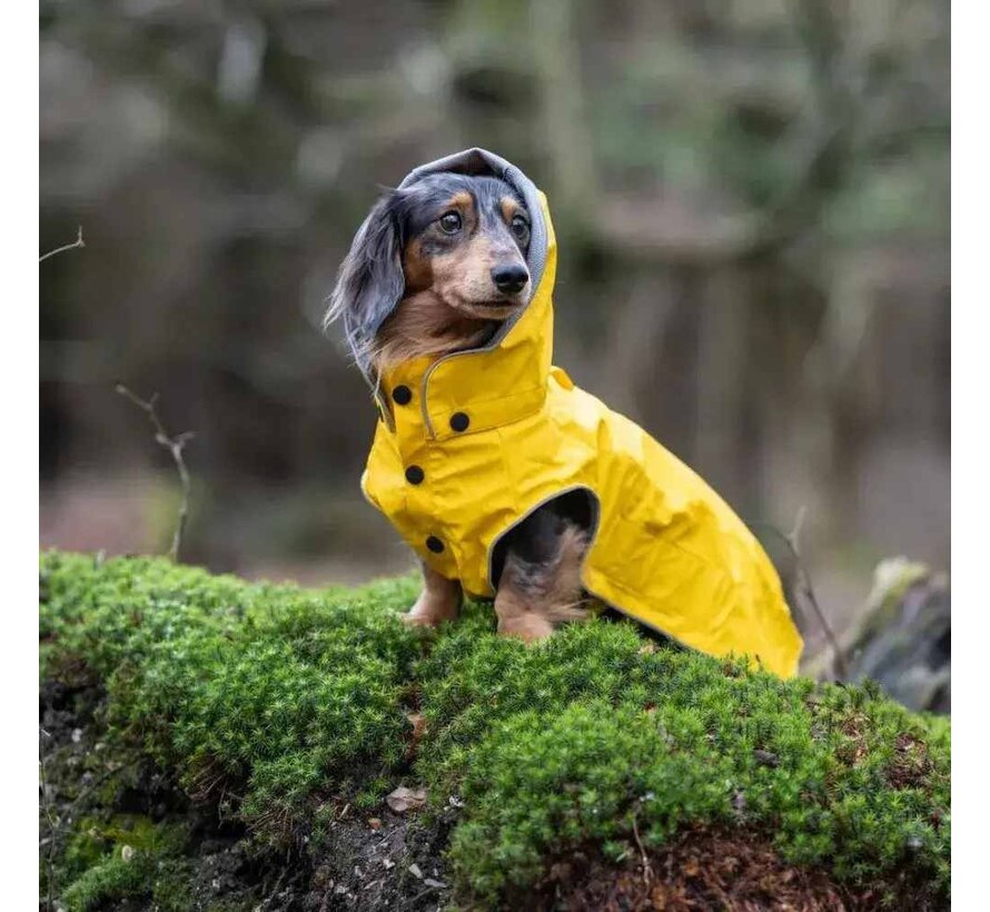 Raincoat Dog Stream Yellow