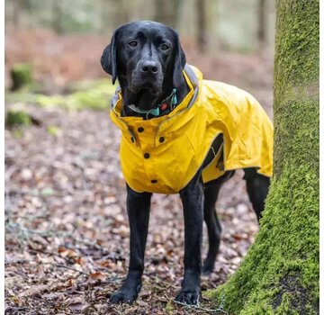 Rukka Raincoat Dog Stream Yellow
