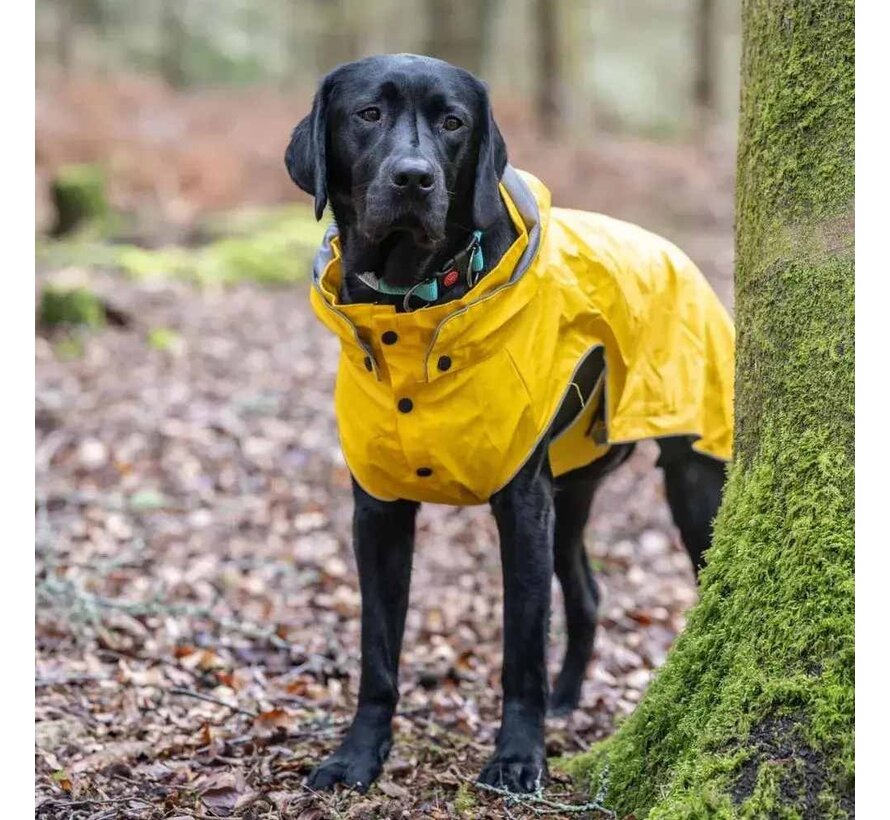 Raincoat Dog Stream Yellow