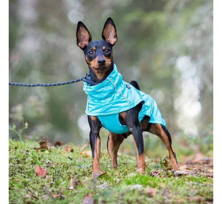 Raincoat Dog Hase Turquoise