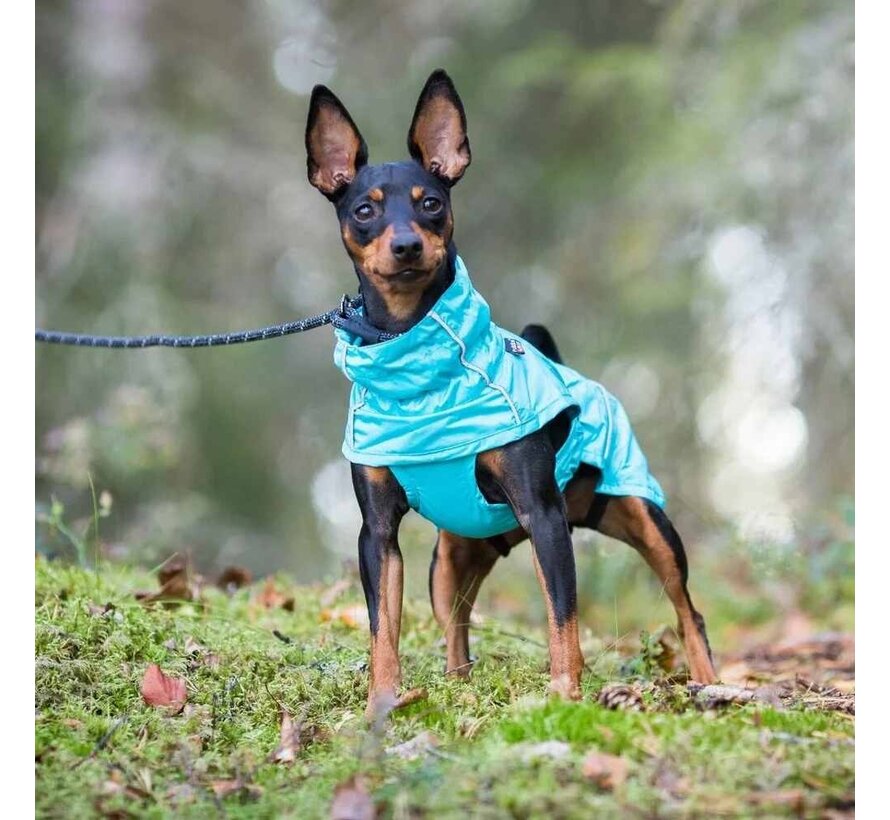 Regenjas Hond Hase Turquoise