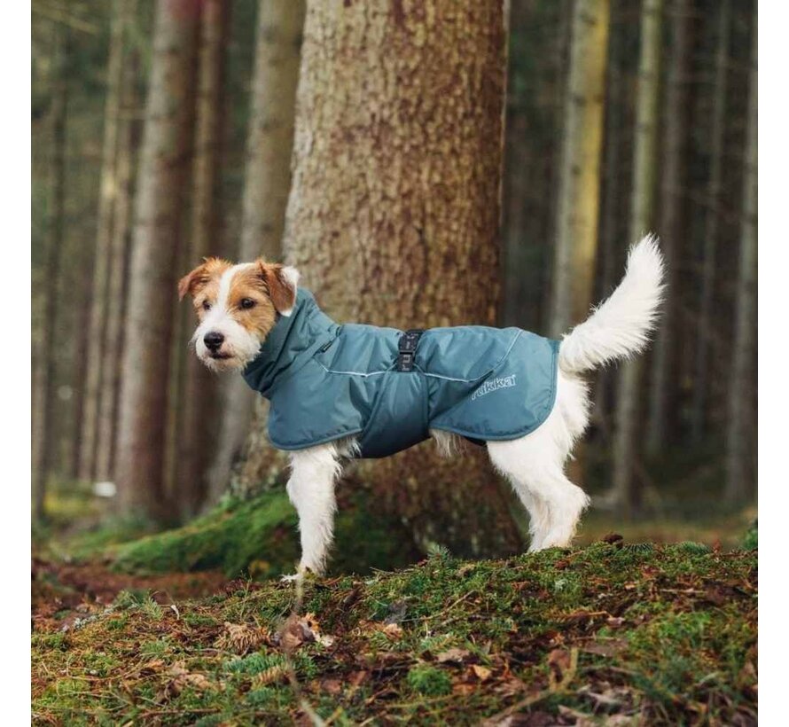 Dog coat Stormy Coat Agave