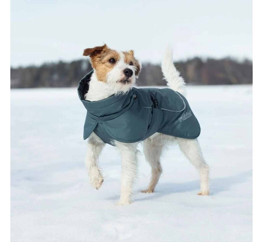 Dog coat Stormy Coat Agave