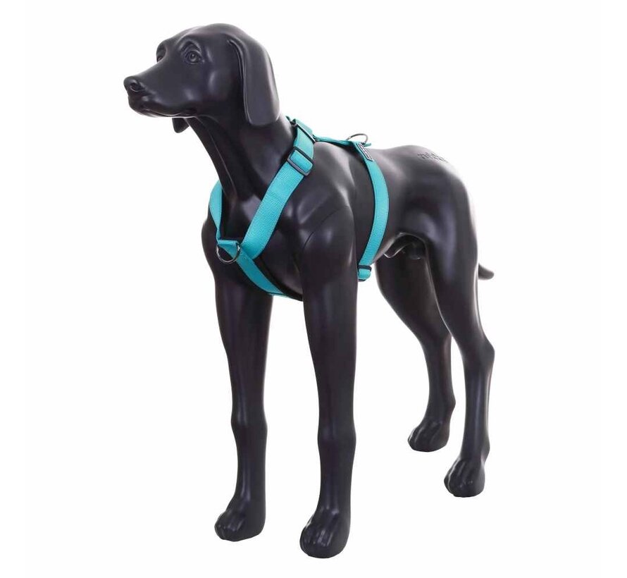 Dog Harness Form Y Turquoise