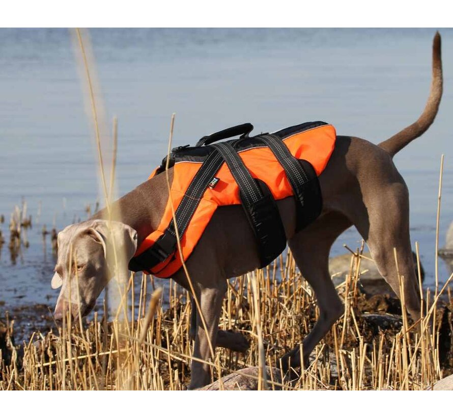 Dog Life jacket Orange