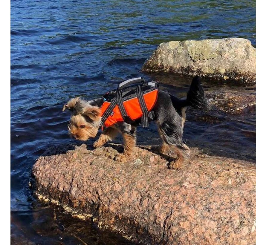 Dog Life jacket Orange