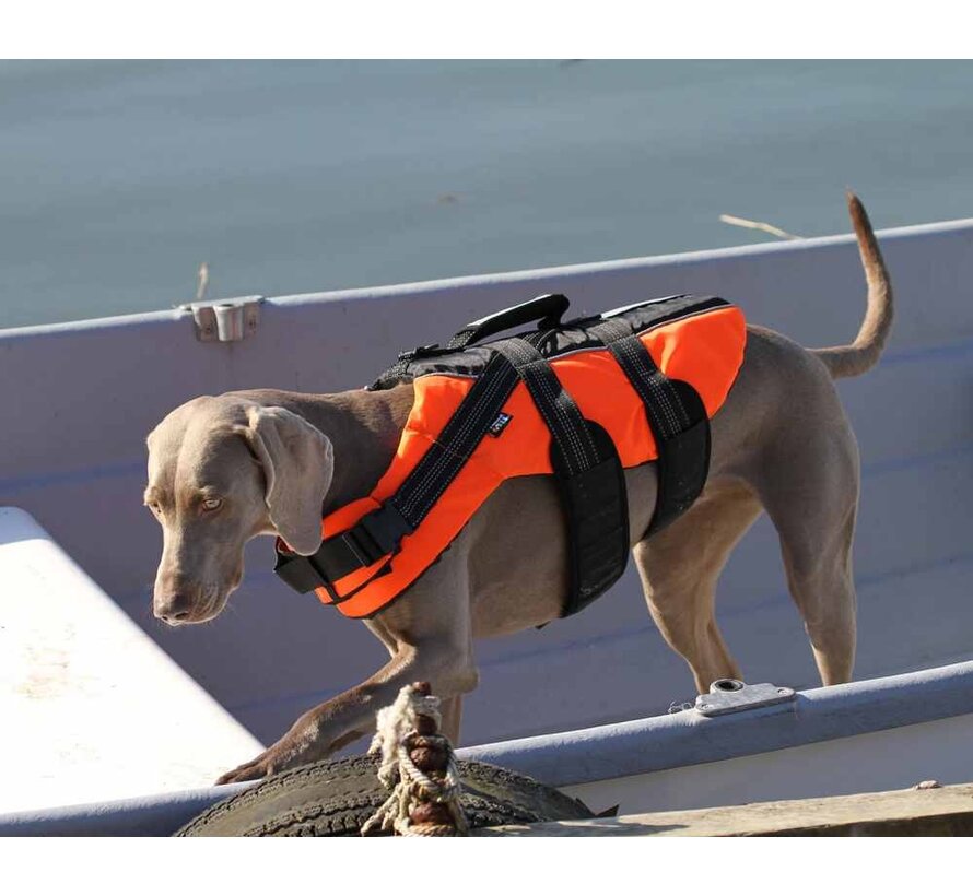 Dog Life jacket Orange