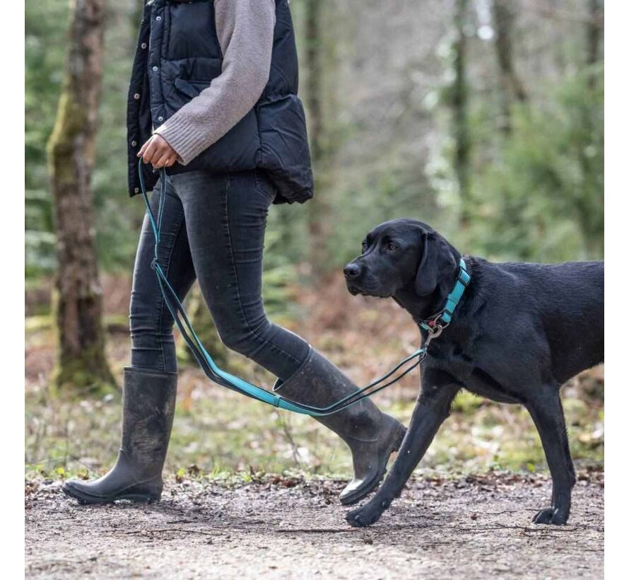 Dog Collar Solid Turquoise