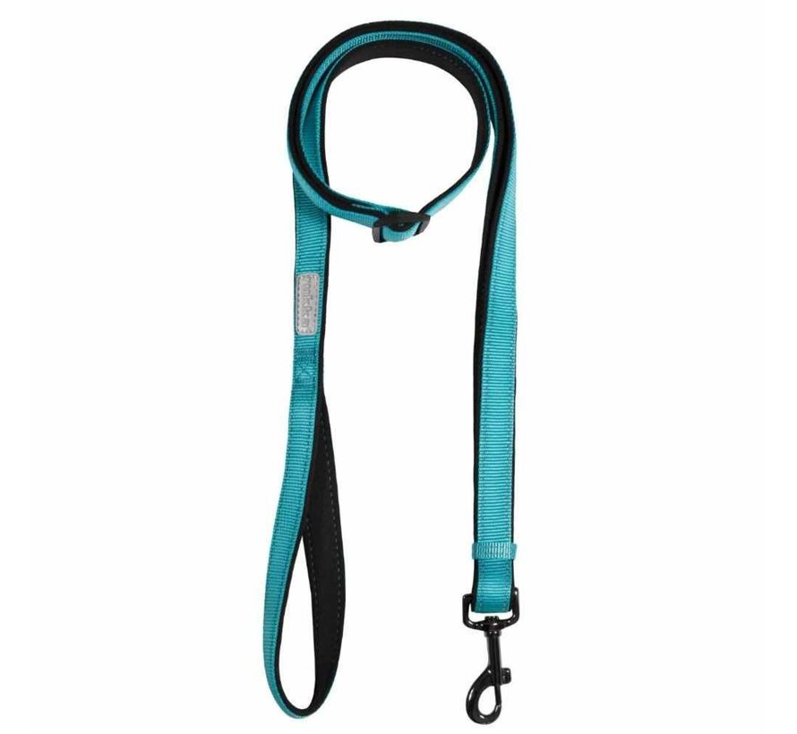 Dog Leash Solid Turquoise