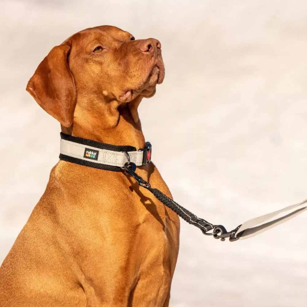 Rukka Pets Bliss Anti-Shock Extension – Verlengstuk voor hondenriem – Zwart – M/L - Large - 35 cm