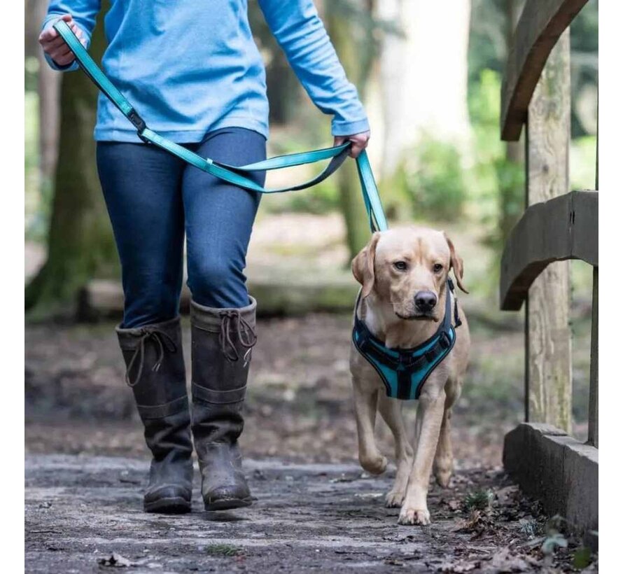 Dog Harness Solid Turquoise