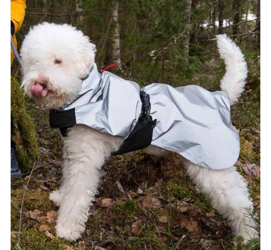 Raincoat Dog Shine Grey