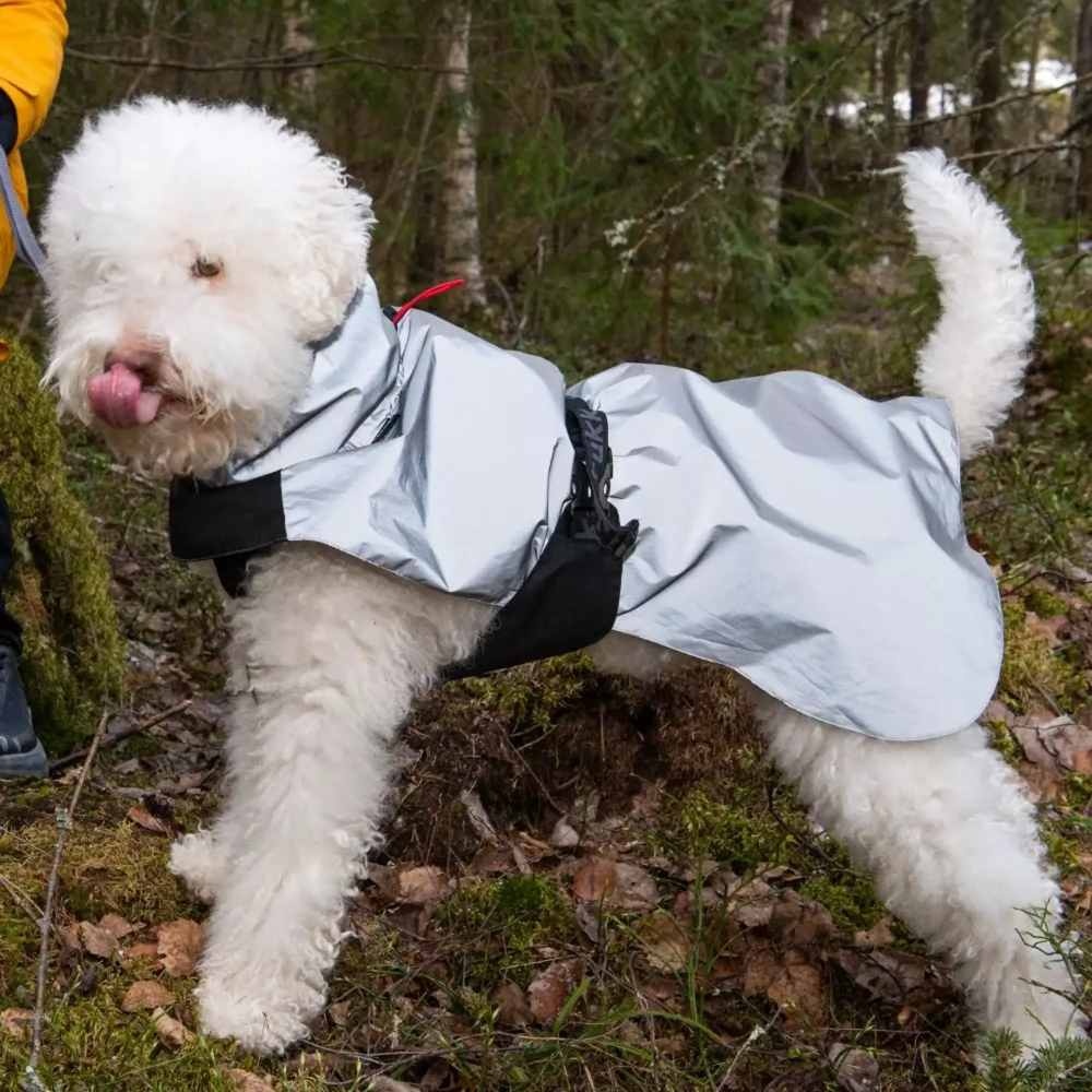 Rukka Pets Shine regenjas - Reflecterende hondenjas - Waterafstotend materiaal – Lichtgewicht - in 9 maten - Kleur: Reflecterend grijs, Maat: Maat 65