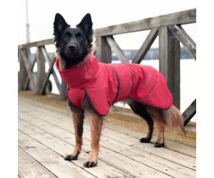 rukka-dog-coat-windy-thermal-