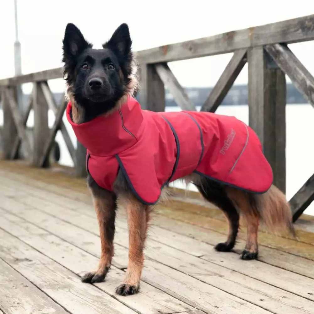 Rukka Pets Windy Thermal Jacket - Warme Softshell jas voor honden - Kleur: Coral red, Maat: Maat 45