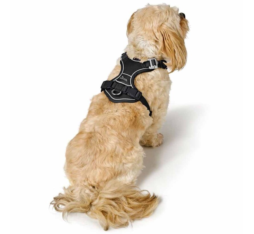 Divo Up Black Dog Harness