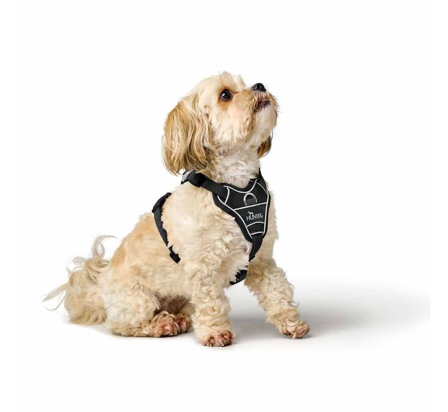 Divo Up Black Dog Harness