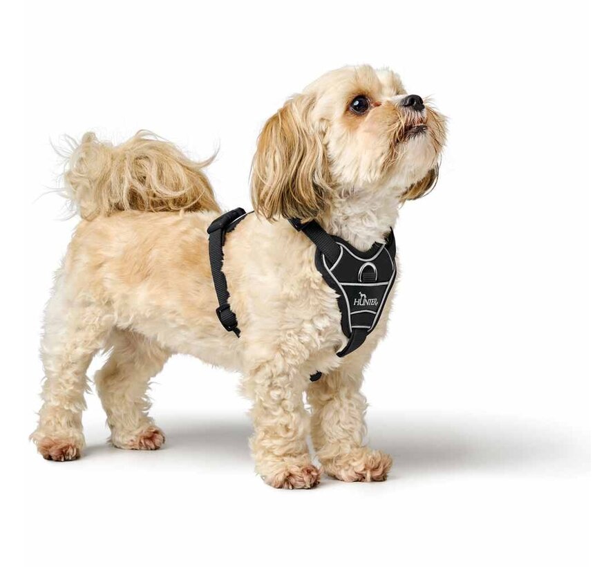Divo Up Black Dog Harness