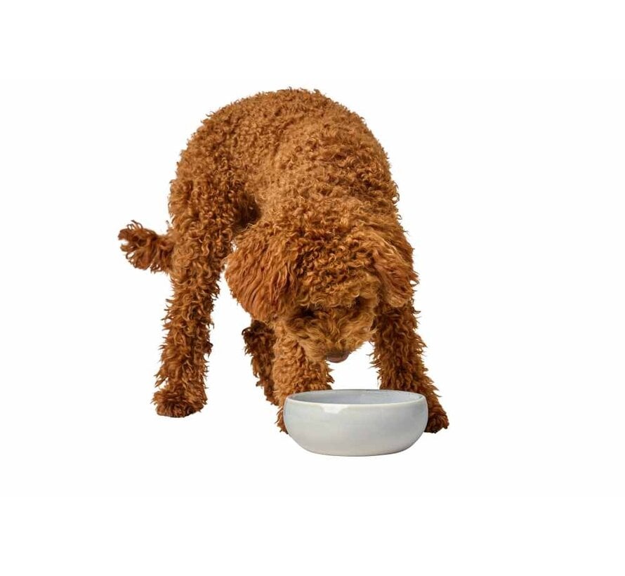 Drinking Bowl or Feeding Bowl Lisbon