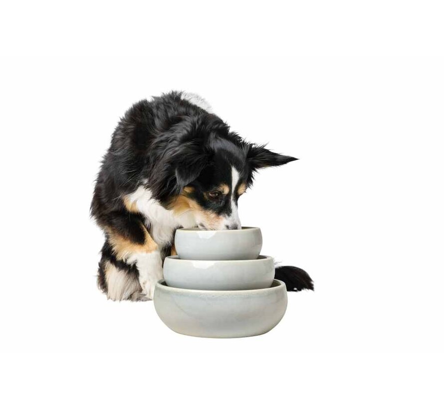 Drinking Bowl or Feeding Bowl Lisbon