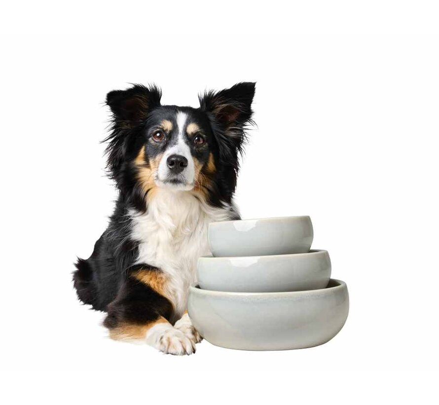 Drinking Bowl or Feeding Bowl Lisbon