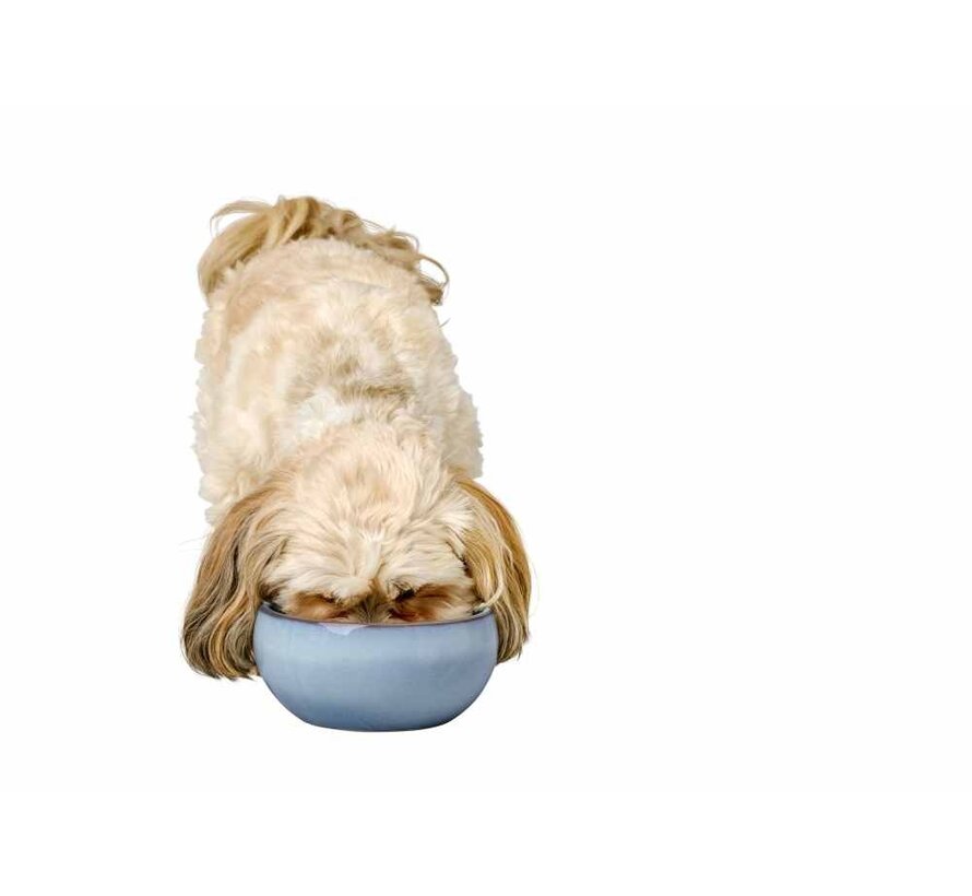Drinking Bowl or Feeding Bowl Braga Blue