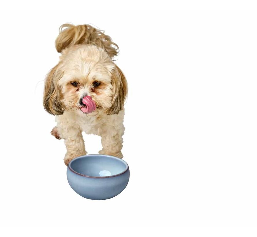 Drinking Bowl or Feeding Bowl Braga Blue