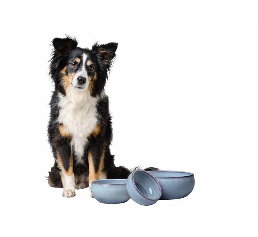 Drinking Bowl or Feeding Bowl Braga Blue