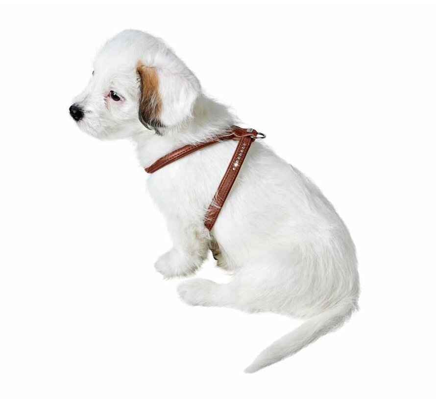 Dog Harness Round & Soft Canadian Up Cognac