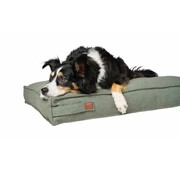 Hunter Dog Cushion Belluno Mint