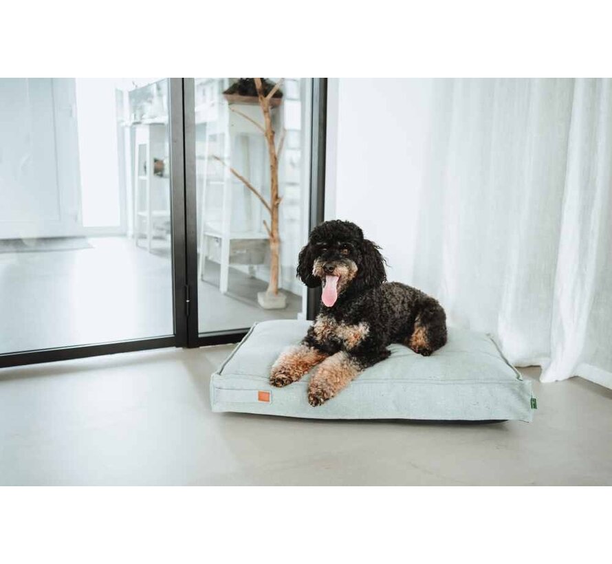 Dog Cushion Belluno Mint