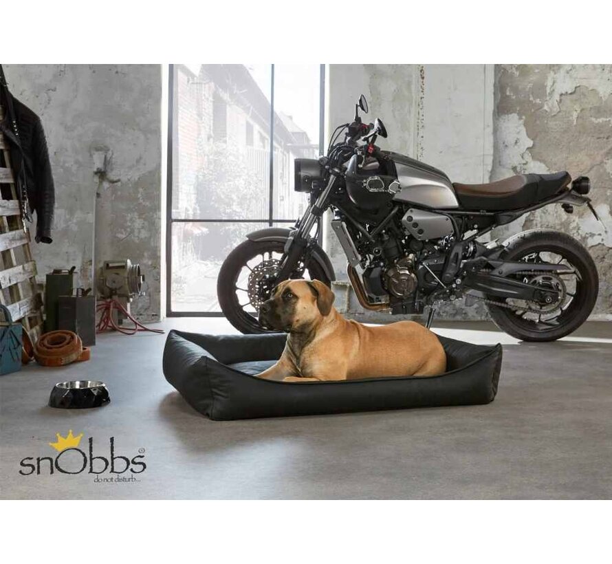 Orthopedic Dog Bed New Wodan Black