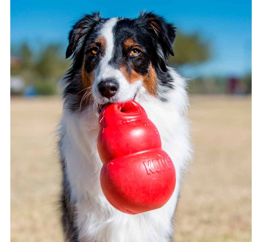 Dog Toy Bounzer