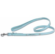 Doxtasy Dog Leash with Name Baby Blue (Medium)